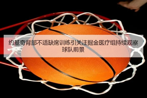 约基奇背部不适缺席训练引关注掘金医疗组持续观察球队前景